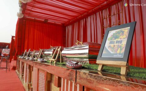 Image Of Best Veg Caterers in Varanasi-Universe Caterers