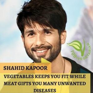 Image Of Veg Catering Company in Varanasi